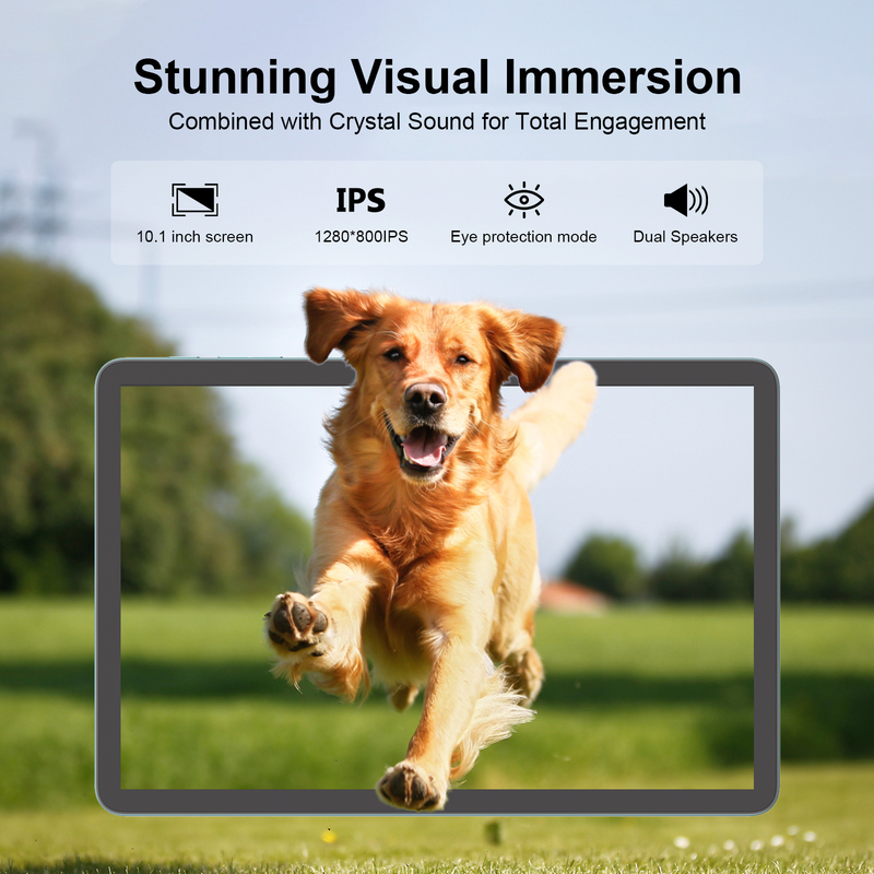 C Idea 10.1 Inch Tablet MTK CPU WIFI Android  Tablet With 2 SIM Support CM8800plus Blue